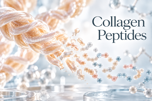 Are Collagen Peptides Good for You? A Simple Look at the Science
