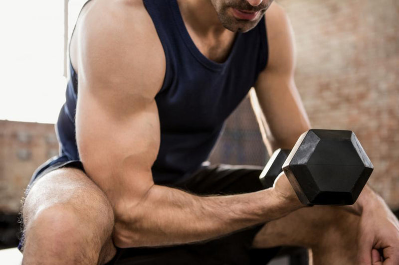 Tips for Bigger and Stronger Muscles - lenovieusa