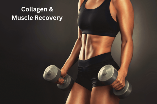 Collagen for Muscle Recovery: Should You Take Collagen Before or After Workout? - Lenovie