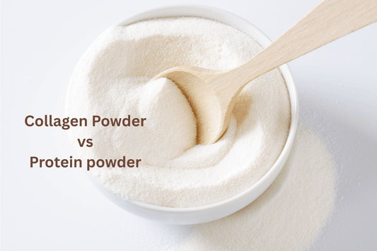 Collagen Powder vs Protein Powder: Which Is Better for Women’s Health? - Lenovie