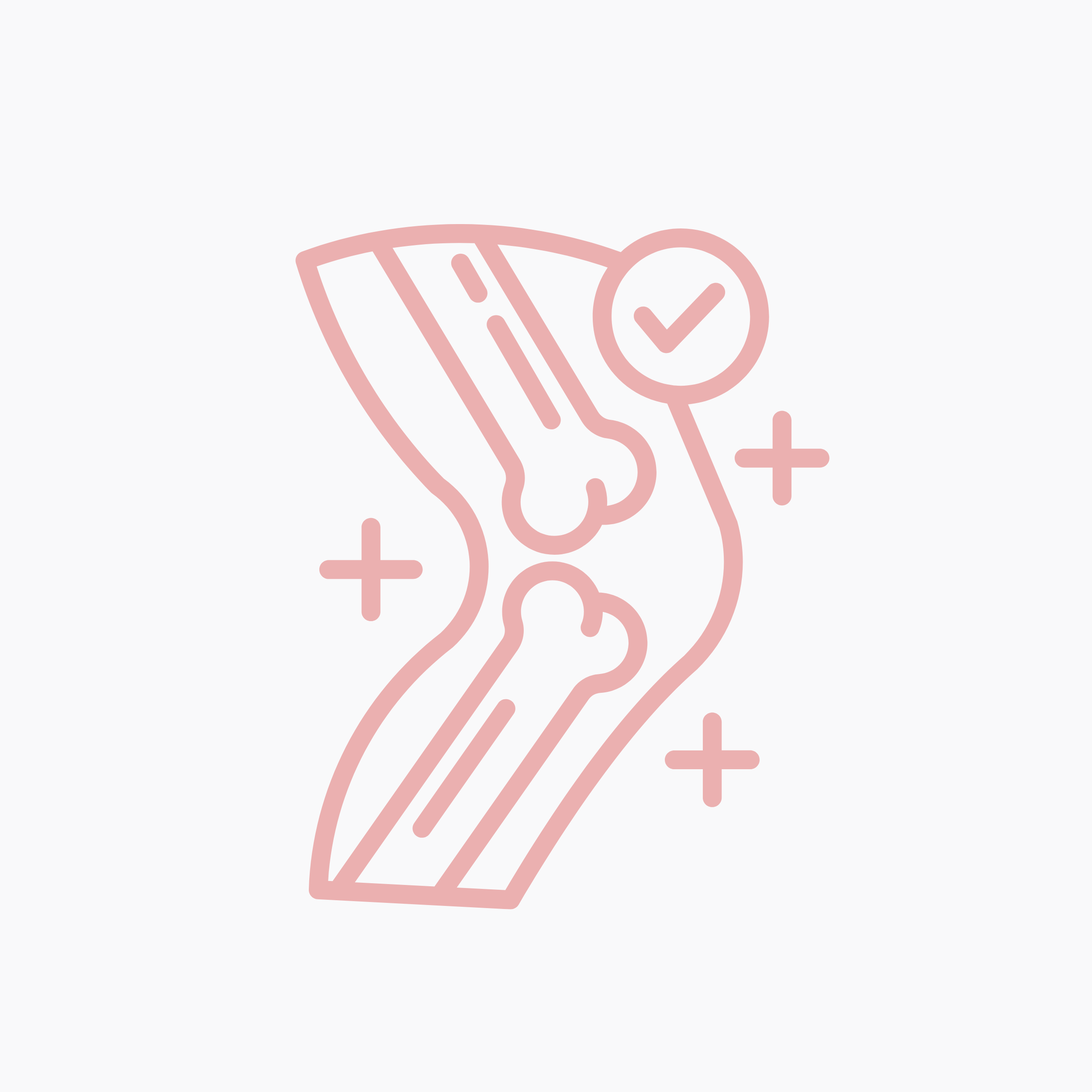 collagen peptides supporting joint health and mobility